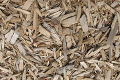 biomass boilers Fulmodeston